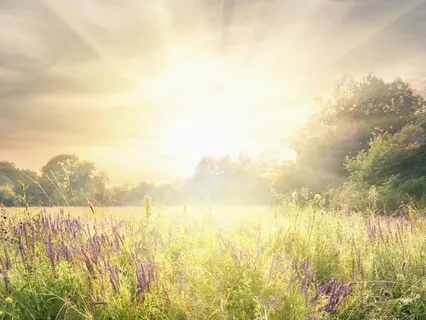 Framtidsjaget - Vad vill jag?