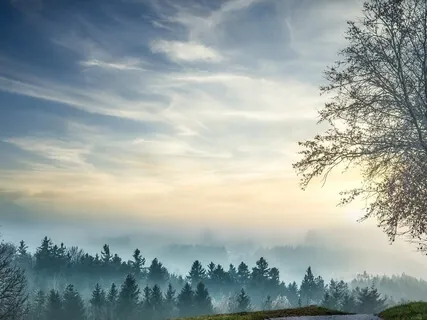 Franz Liszt - Liebestraum - Love Dream