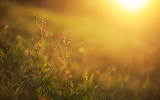 Frecuencia 528 Hz • Manifiesta Todo lo que Desees