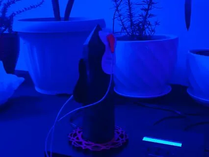 Frecuencias de una Labradorita para estimular la Intuición