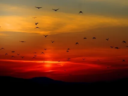 Free - An Empowering Song To Boost Your Energy & Confidence