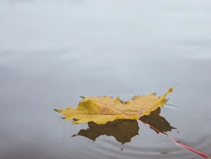 Free Floating Anxiety Exists, Because Anxiety Has Become A Default State For Most Of Us