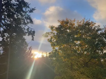 Free Flow Journal Writing Experience On Love (No Music)