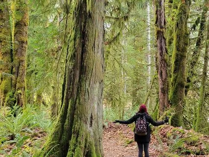 Free-Flow Journal Writing For Healthy Weight