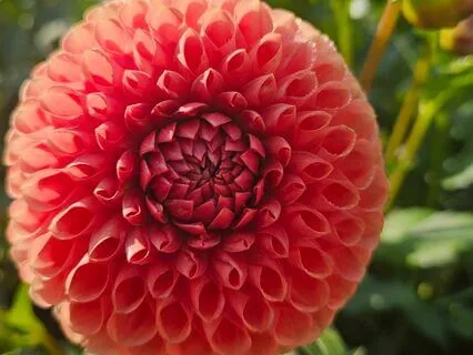 Free Flow Journal Writing For Quantum Learning