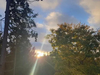 Free Flow Journal Writing On Love (With Background Music)