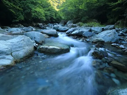 Free Old Patterns: Compassion For Self & Others