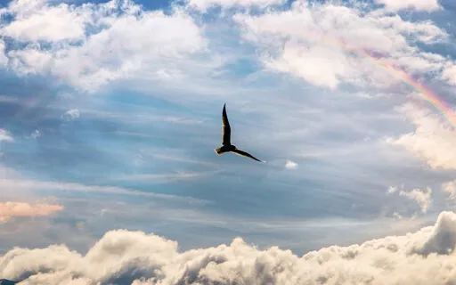 Free The Victim (With Piano Music)