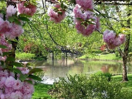 Free Time in the Garden of Tranquility