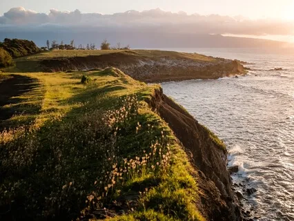 Trust The Flow - Set Yourself Free