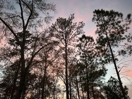 Free Your Body From Physical Anxiety