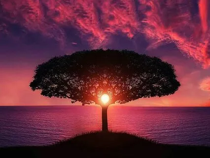 Free Your Mind: Release Negative Thinking Meditation