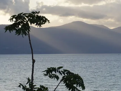 Free Yourself From Pain Guided Meditation Part 1