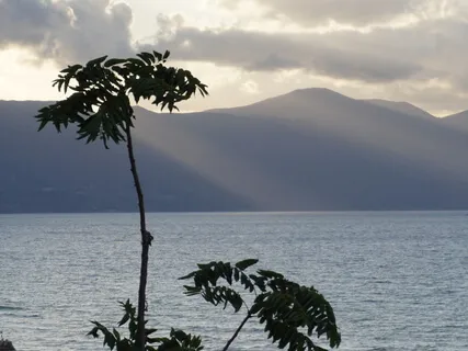 Free Yourself From Pain Guided Meditation Part 2