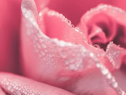 Free Yourself From Psychological Fear