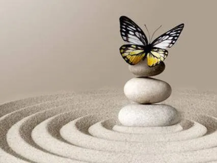 Free Yourself With Forgiveness