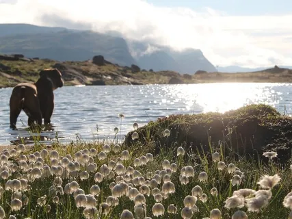 Freedom And Relaxation - Letting Life Be Free In You