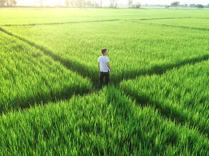 Freedom And Exploration Of Self