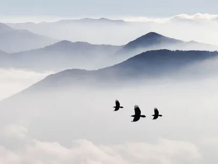 Freedom & Grace Guided Meditation 