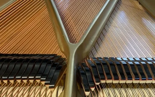 Freedom & Peace For All - Tender Piano Melody To Strengthen 