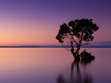 Freedom Beyond Belief