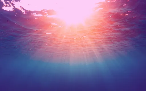 Freedom: Connecting With The  Fullness Of Who You Are Talk