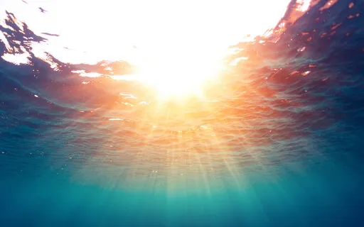 Freedom: Connecting With The Fullness Of You Meditation