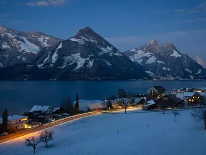 Freedom For Night - Full Body Healing