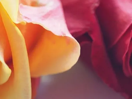 Freedom From Compulsive Thinking