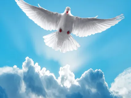 Freedom From Fear and Anxiety