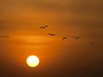 Freedom From Guilt: You Are Allowed To Forgive Yourself