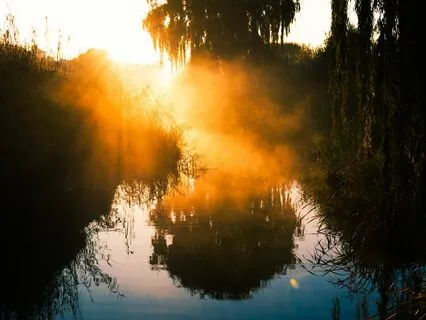 Freedom From Inner Struggle