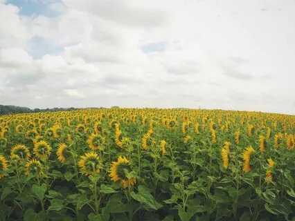 Freedom From Negative Self-Talk