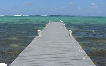 Freedom From Sleep Disorders & Addictions Using Tantra