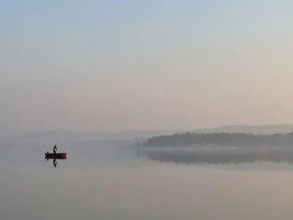 Freedom In Acceptance