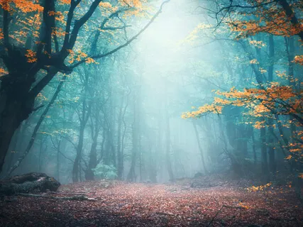 Freedom In The Unknown