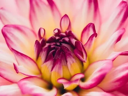 Freedom In Your Heart Meditation – Feeling Lonely? Isolated?