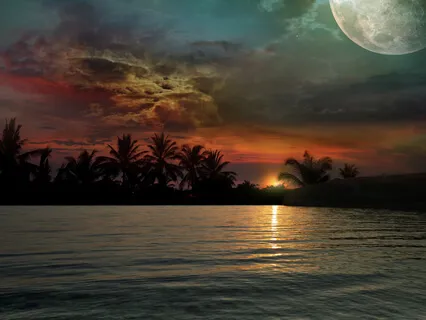 Freedom Is Not Given To Us By Anyone