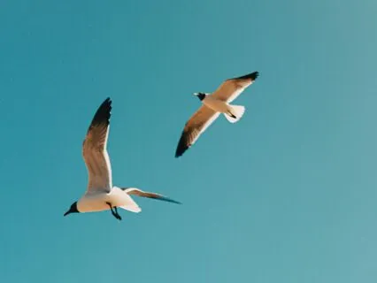 Freedom Is Within You - Find Freedom Within You