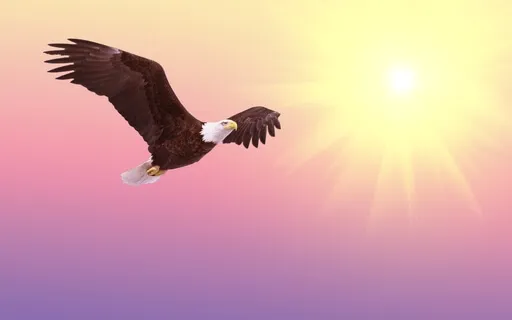 Freedom Meditation Cultivate Freedom Every Day