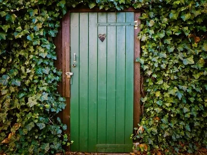 Freedom Of Humility: Antidote To Disruptive Judgement