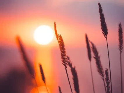 Freedom Of Spirit, Yours!