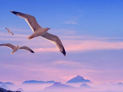 Freedom Of Worry 432 Hz