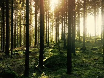 Freedom To Love Ourselves As We Are