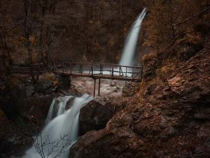 Liberated Through Love