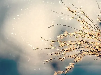 Freeing Collective Tension 