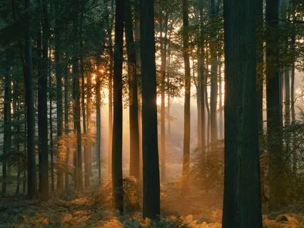 Freeing The Ethereal Dragon (Meditation Bedtime Story)