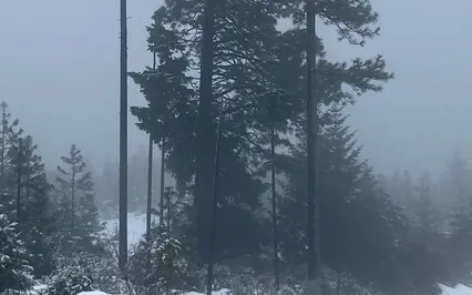 Freeing The Residues Of Fear