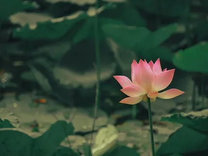 Freeing Yourself From Judgment (With Music)