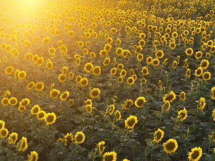 Freeing Yourself From Limiting Beliefs About Abundance